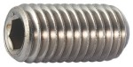 Stelschroef M 6 x 12mm Din916-ISO 4029 A2